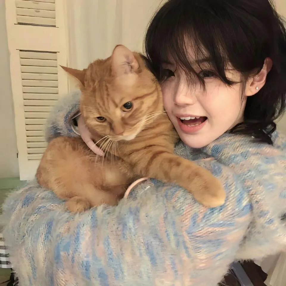 我的父亲母亲2013